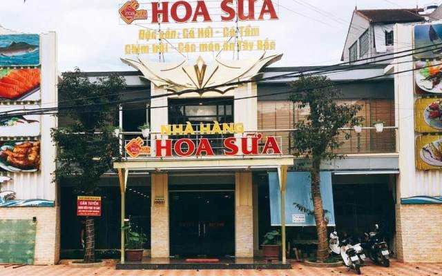 Nhà Hàng Hoa Sữa - Đặc Sản Cá Hồi & Cá Tầm