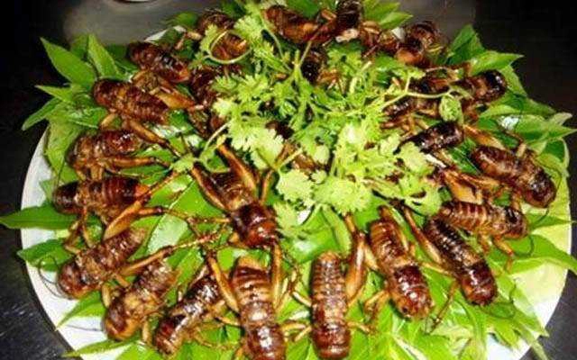 Nhà Hàng Khánh Ly