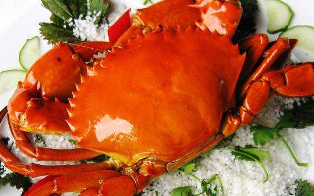 Nhà Hàng Salt Restaurant - Nguyễn Đình Chiểu