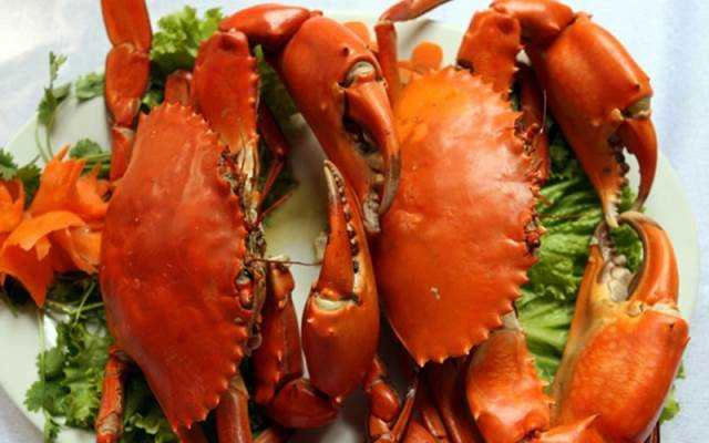 Nhà Hàng Tân Cảng Restaurant - Hải Sản Tươi Sống