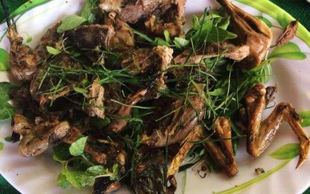 Nhà Hàng Thịt Rừng Tây Bắc Hoà Sơn