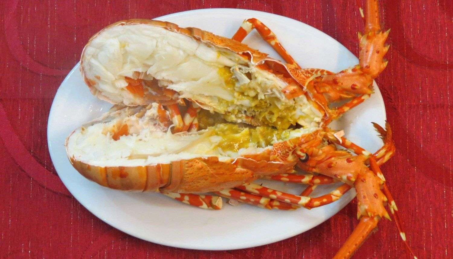 Nhà Hàng Vườn Thông - Đặc Sản & Hải Sản Hạ Long