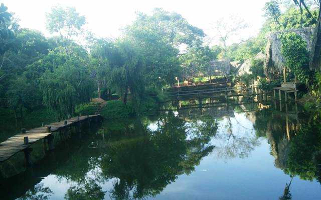 Nhà Hàng YangSin - Ẩm Thực Tây Nguyên