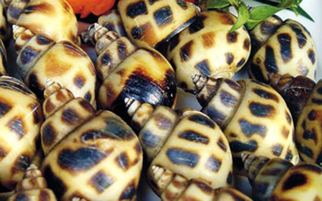 Quán Ăn Ốc Long Hải