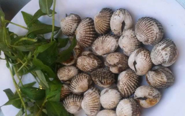 Quán Ăn Ốc Nguyên 1 - Phan Xích Long