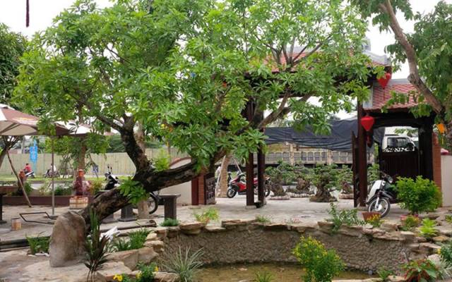 Nhà Hàng Phố Cổ Cafe & Restaurant - Phan Đăng Lưu