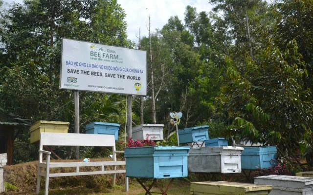 Phú Quốc Bee Farm