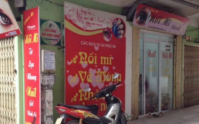 Phúc Mi - Đoàn Thị Điểm