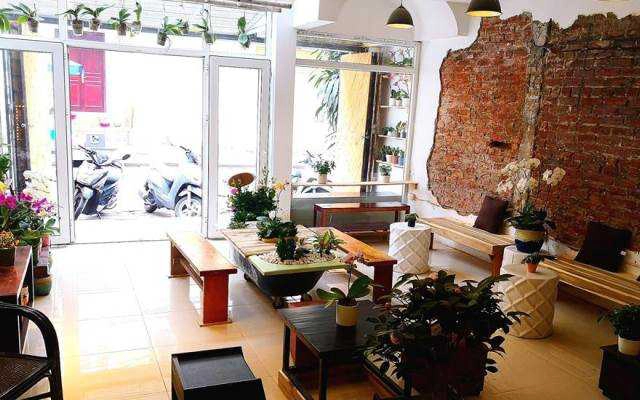 Plants Coffee Store