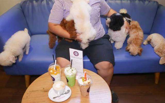 Poodle House Coffee - Phan Đình Phùng