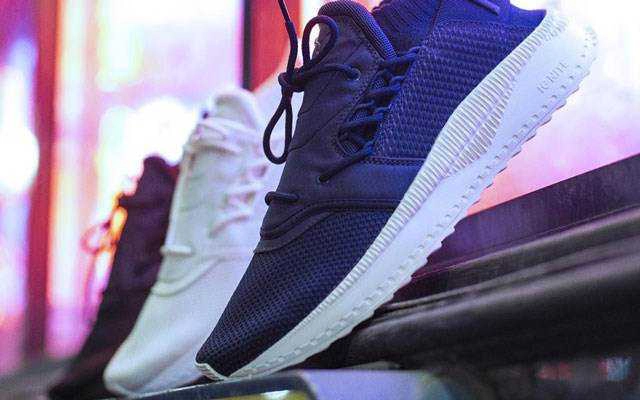 Puma - Pasteur