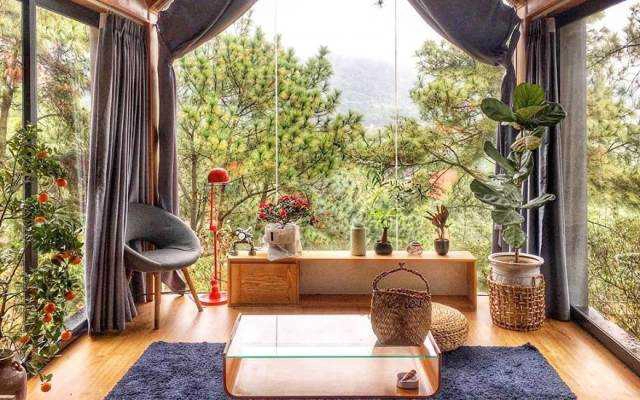 Quả Thông Lớn Homestay