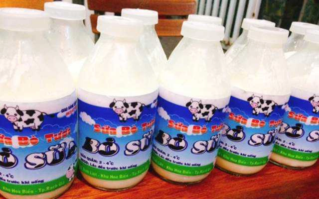 Quán Ăn Bò Sữa - Sữa Bò Tươi