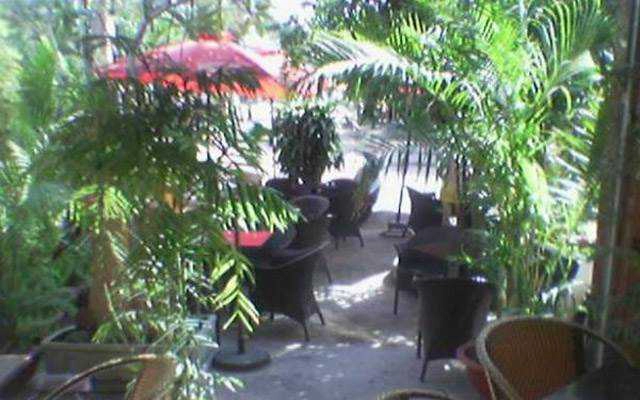 Quán Ăn Cây Nhãn Cafe