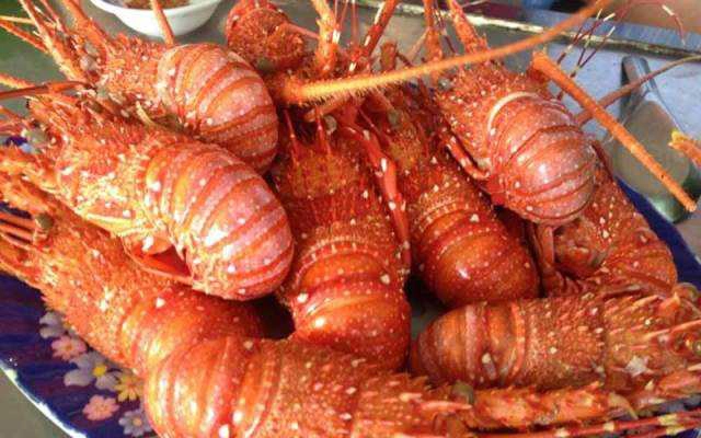 Quán Ăn Mũi Tàu Quán - Đặc Sản Bình Dân