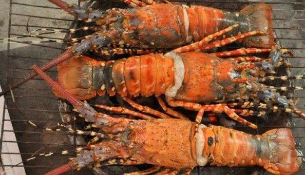 Quán Ăn Thủy Ngân Quán - Hải Sản Lagi