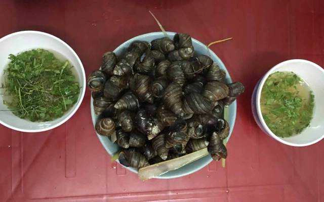 Quán Ăn Tuyết Ốc