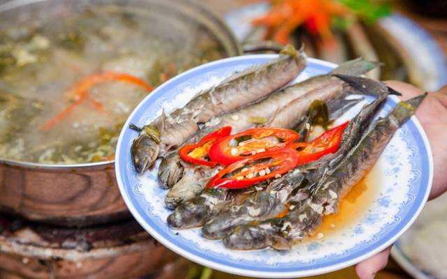Quán Nhậu Hiếu Béo Quán - Hoàng Minh Thảo