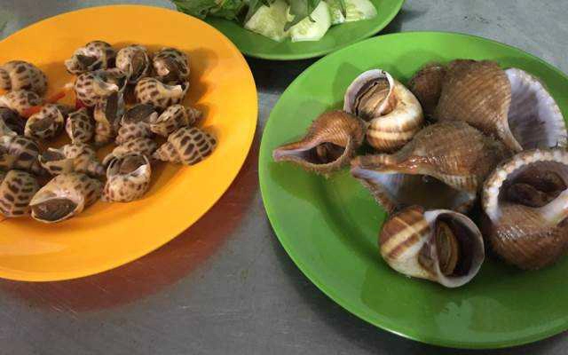 Quán Nhậu Ốc Hà Vy