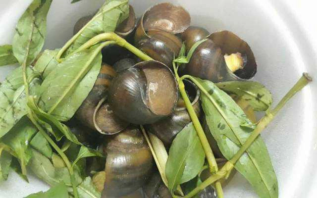 Quán Nhậu Ốc Phô Mai 153