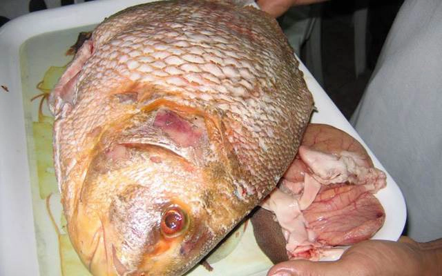 Quán Ăn Tư Tàu - Đặc Sản Cá Chìa Vôi