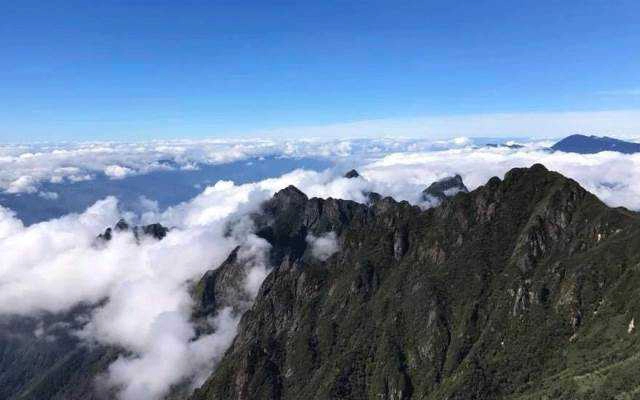 Quốc Phương Travel