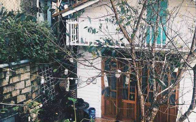 Reply1994 Dalat