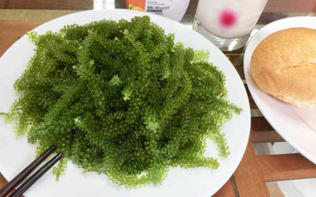 Rong Nho Nha Trang - Shop Online