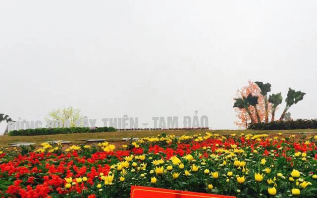 Rừng Hoa Tây Thiên - Tam Đảo