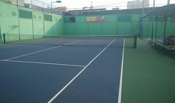 Sân tennis, quần vợt 555