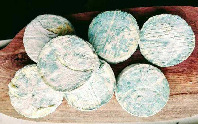 Shop online Familycheese - Phomai Cộng Hòa Séc