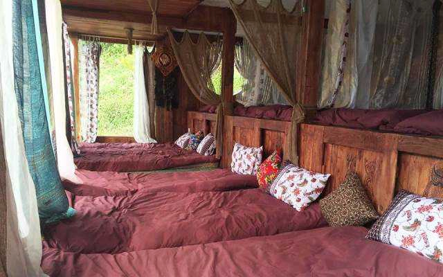 Sunshine Tím - Homestay Du Mục