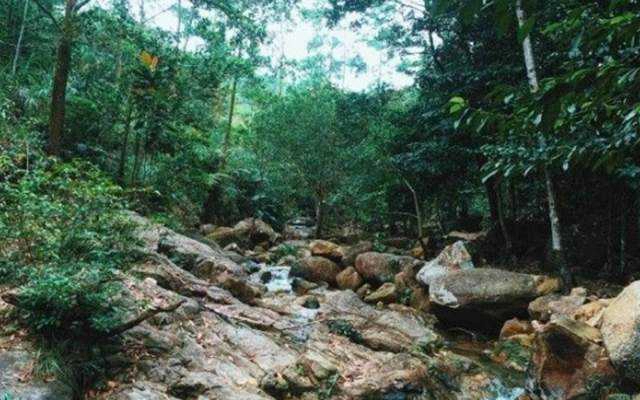 Suối Năm