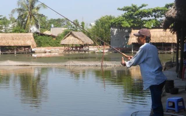 Quán Ăn Tân Điểm Hẹn Xanh - Câu Cá Giải Trí