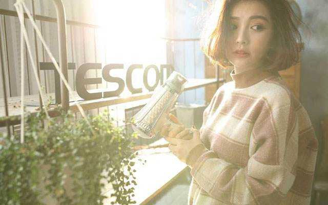 Tescom Vietnam