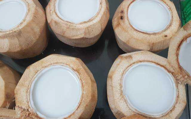 Thạch Dừa 39 - Shop Online