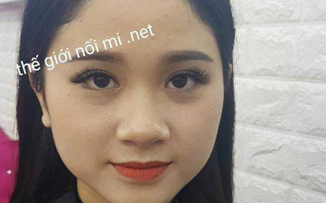 Thế Giới Nối Mi - Cách Mạng Tháng Tám