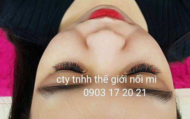 Thế Giới Nối Mi - Hoàng Hoa Thám