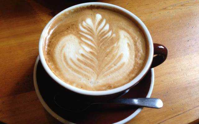 The New Garden Coffee