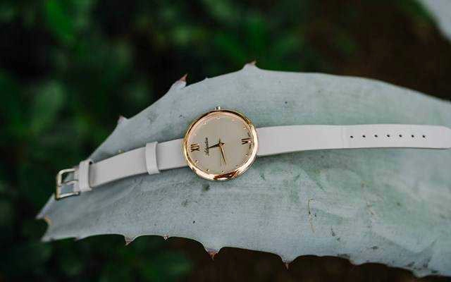 Thegioithoigian.vn - Parkson Cantavil