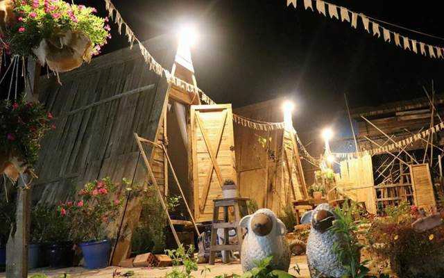 Thích Trồng Cây Homestay