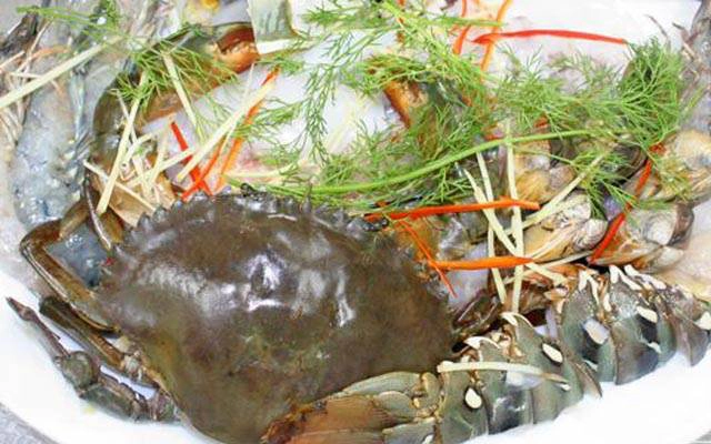 Quán Ăn Thỏ Vàng Quán - Món Nhậu Bình Dân