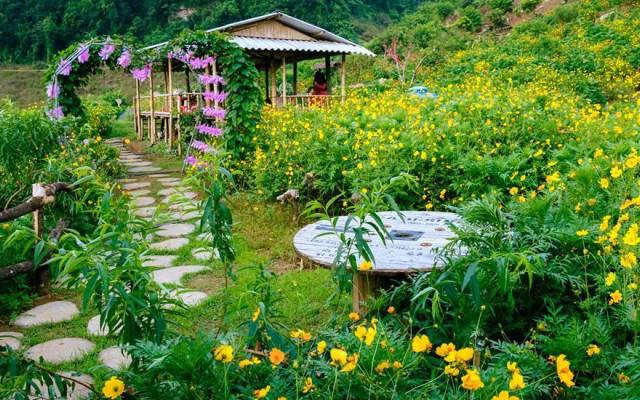 Thung Lũng Hoa Núi Đá Trắng