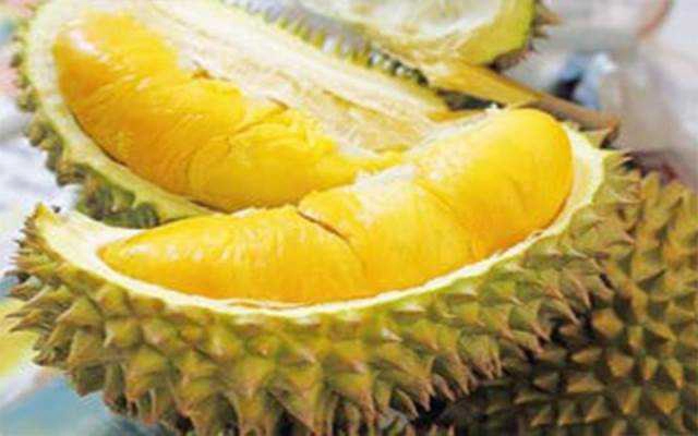 Tiệm Bánh Bánh Trung Thu Nhân Sầu Riêng Musangking