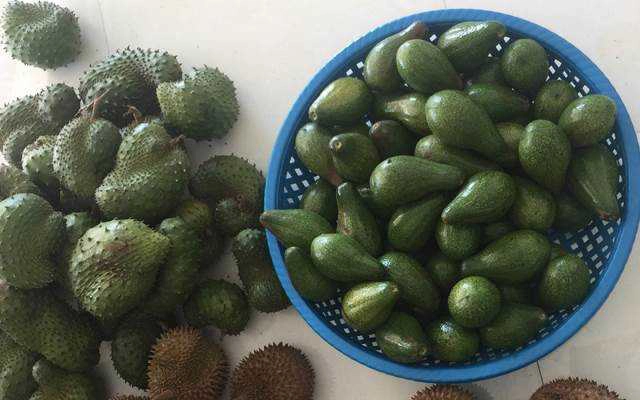 Trái Cây Sạch Đắk Lắk - Shop Online
