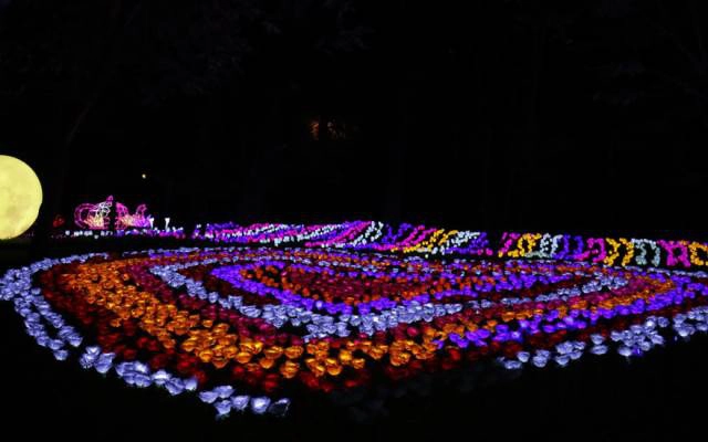 Triễn Lãm Đèn Led