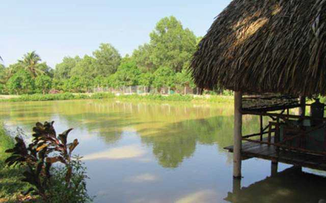 Vita Garden - Khu Du Lịch Suối Tiên