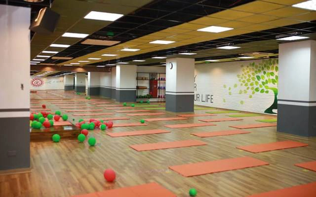 Vital Fitness & Yoga - Hà Đông
