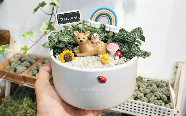 Vườn của mẹ