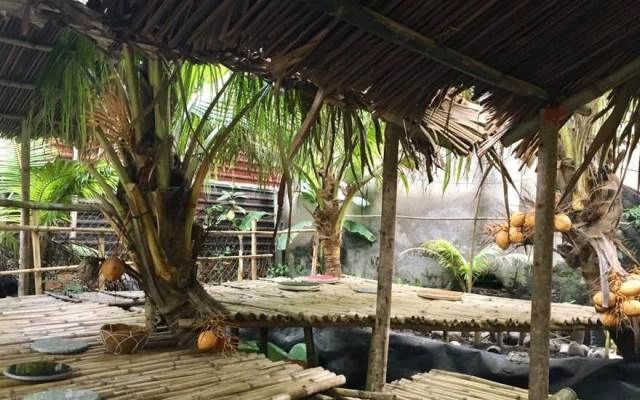 Vườn Dừa 2 Màu - Vườn Trái Cây
